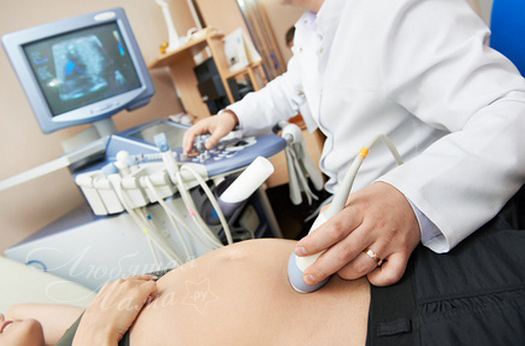 Как часто можно делать УЗИ при беременности?